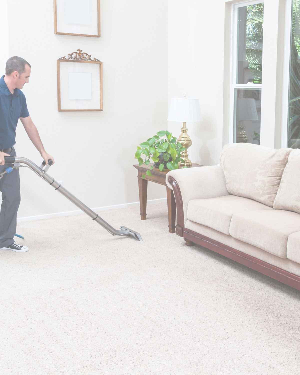 Floor & Carpet Care