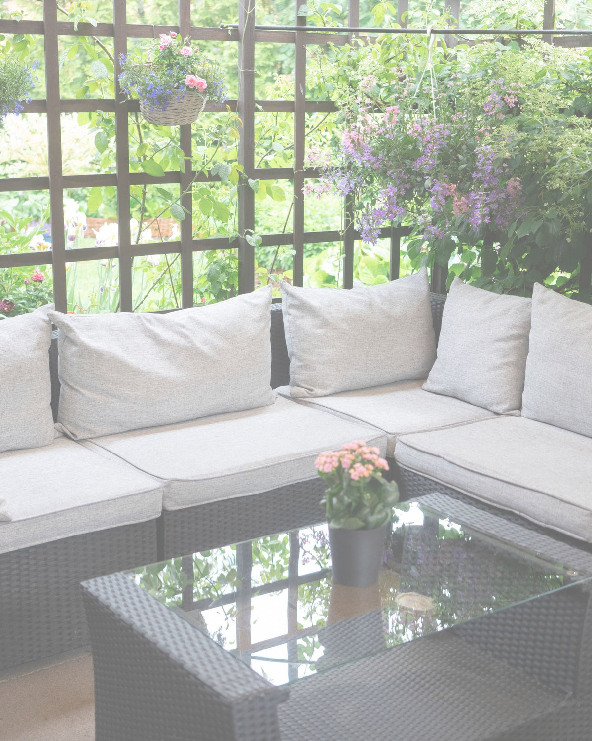 Outdoor & Garden