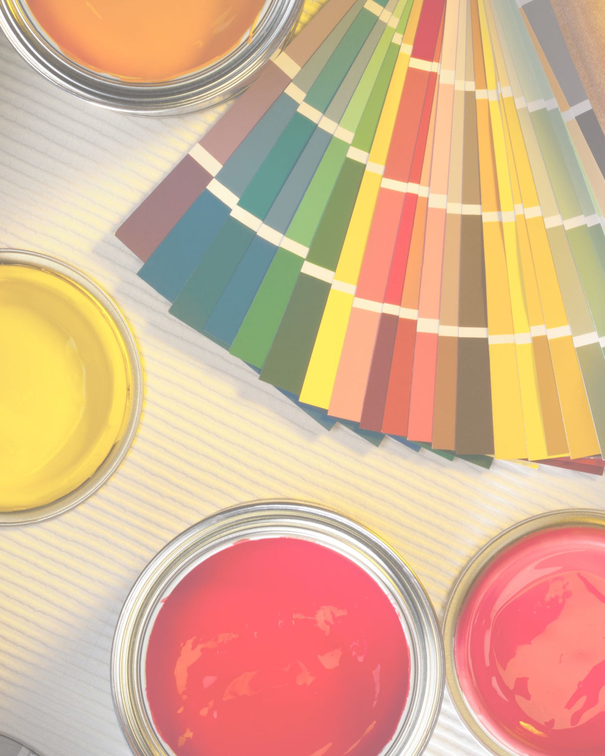 Paints & Decorating