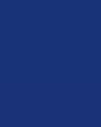 Polybond Poly Enamel Paint can with brush showing durable, high-gloss multi-surface coating
